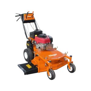 Motorna kosilica V722